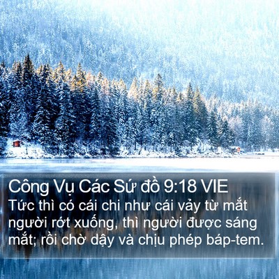 Công Vụ Các Sứ đồ 9:18 VIE Bible Verse Image