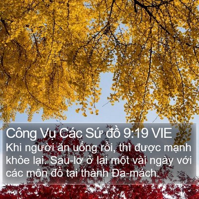 Công Vụ Các Sứ đồ 9:19 VIE Bible Verse Image