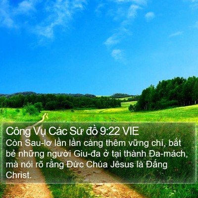 Công Vụ Các Sứ đồ 9:22 VIE Bible Verse Image