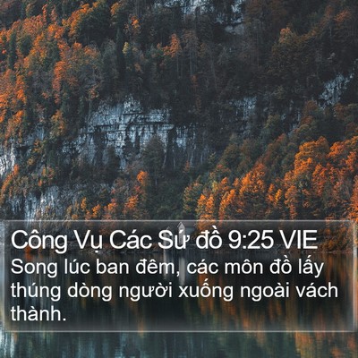 Công Vụ Các Sứ đồ 9:25 VIE Bible Verse Image