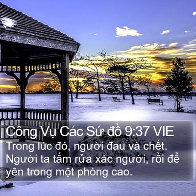 Công Vụ Các Sứ đồ 9:37 VIE Bible Verse Image