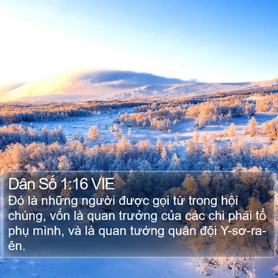 Dân Số 1:16 VIE Bible Verse Image