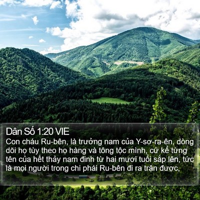Dân Số 1:20 VIE Bible Verse Image