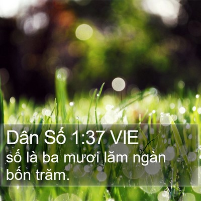 Dân Số 1:37 VIE Bible Verse Image