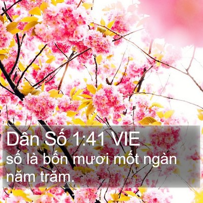 Dân Số 1:41 VIE Bible Verse Image