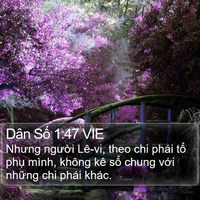 Dân Số 1:47 VIE Bible Verse Image