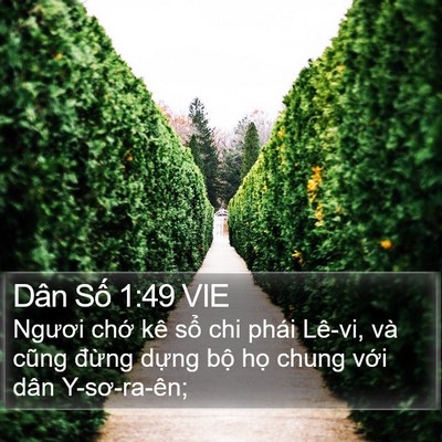 Dân Số 1:49 VIE Bible Verse Image