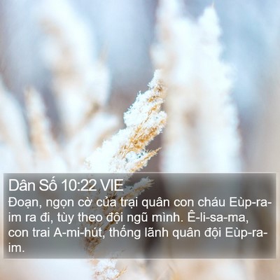 Dân Số 10:22 VIE Bible Verse Image