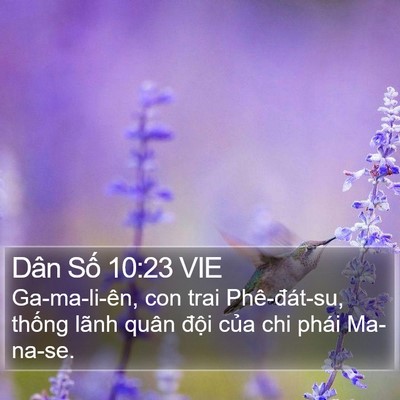 Dân Số 10:23 VIE Bible Verse Image