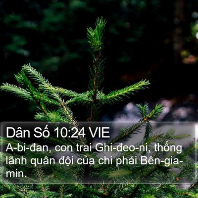 Dân Số 10:24 VIE Bible Verse Image