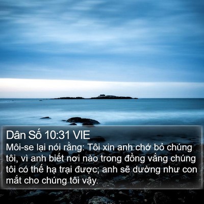Dân Số 10:31 VIE Bible Verse Image