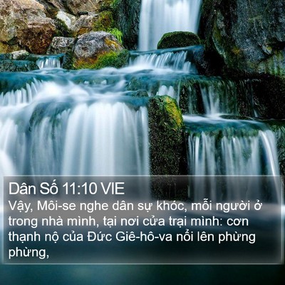 Dân Số 11:10 VIE Bible Verse Image