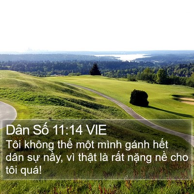 Dân Số 11:14 VIE Bible Verse Image