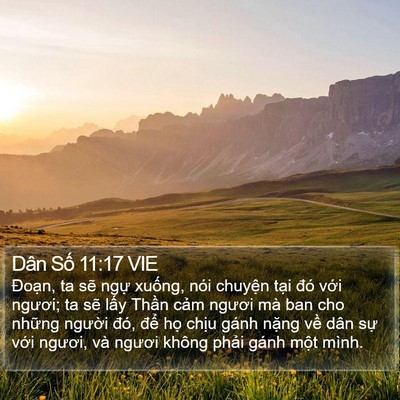 Dân Số 11:17 VIE Bible Verse Image