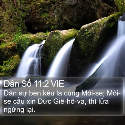 Dân Số 11:2 VIE Bible Verse Image