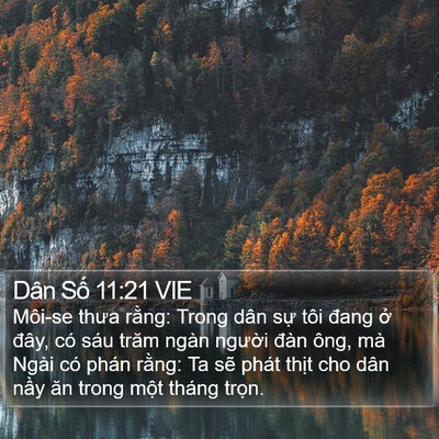 Dân Số 11:21 VIE Bible Verse Image