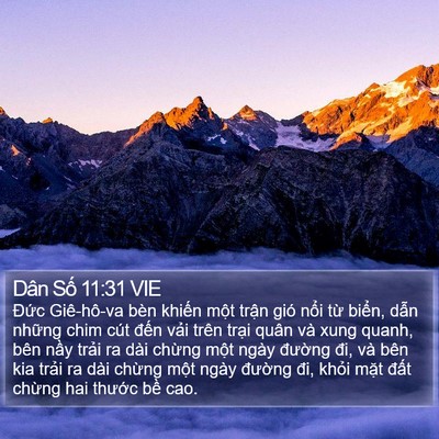 Dân Số 11:31 VIE Bible Verse Image
