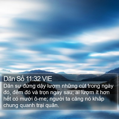 Dân Số 11:32 VIE Bible Verse Image