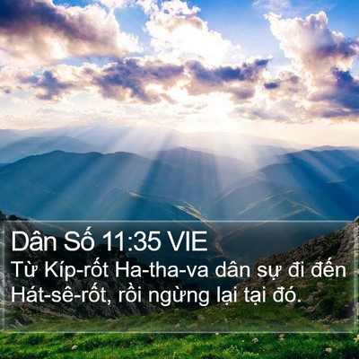 Dân Số 11:35 VIE Bible Verse Image