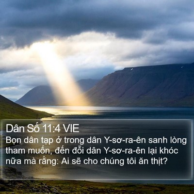 Dân Số 11:4 VIE Bible Verse Image