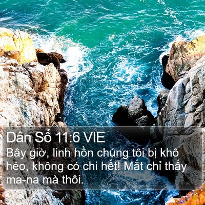 Dân Số 11:6 VIE Bible Verse Image