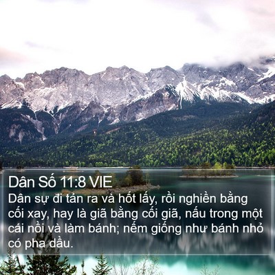 Dân Số 11:8 VIE Bible Verse Image
