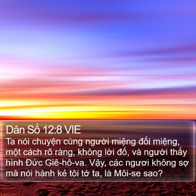 Dân Số 12:8 VIE Bible Verse Image