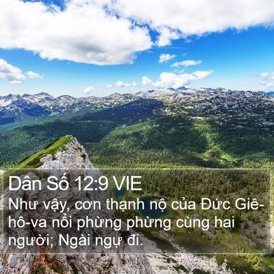 Dân Số 12:9 VIE Bible Verse Image