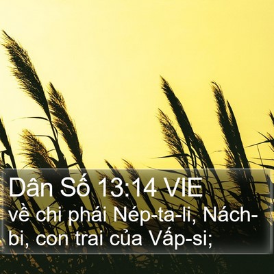 Dân Số 13:14 VIE Bible Verse Image