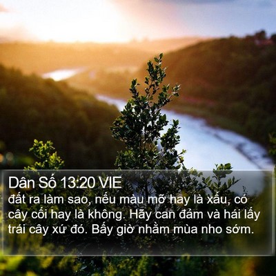 Dân Số 13:20 VIE Bible Verse Image
