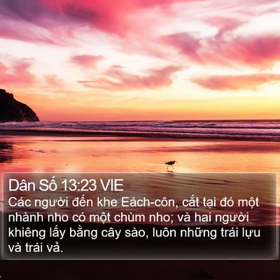 Dân Số 13:23 VIE Bible Verse Image