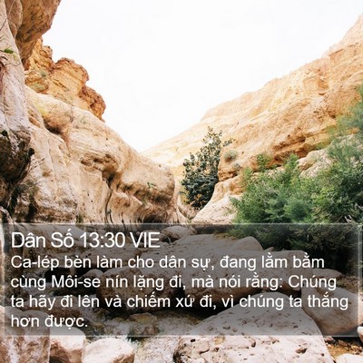 Dân Số 13:30 VIE Bible Verse Image