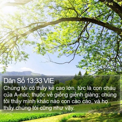 Dân Số 13:33 VIE Bible Verse Image