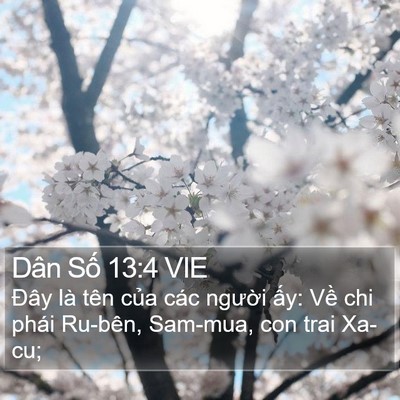 Dân Số 13:4 VIE Bible Verse Image