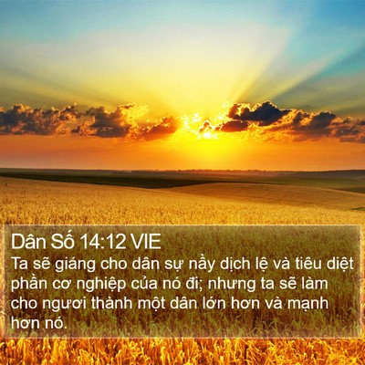 Dân Số 14:12 VIE Bible Verse Image
