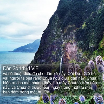 Dân Số 14:14 VIE Bible Verse Image