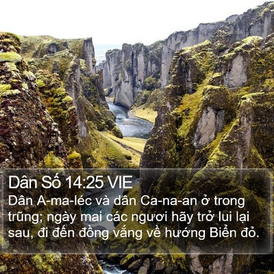Dân Số 14:25 VIE Bible Verse Image