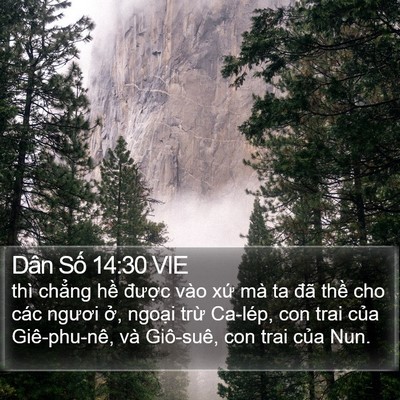 Dân Số 14:30 VIE Bible Verse Image