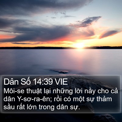 Dân Số 14:39 VIE Bible Verse Image