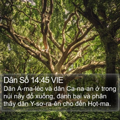 Dân Số 14:45 VIE Bible Verse Image
