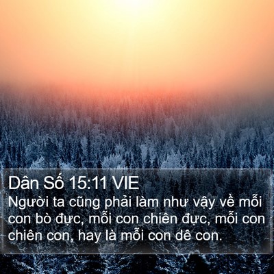Dân Số 15:11 VIE Bible Verse Image