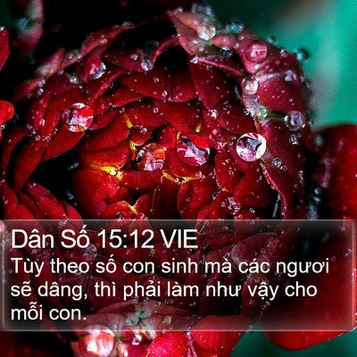 Dân Số 15:12 VIE Bible Verse Image