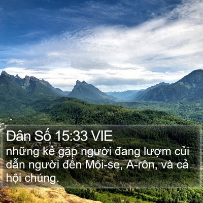 Dân Số 15:33 VIE Bible Verse Image