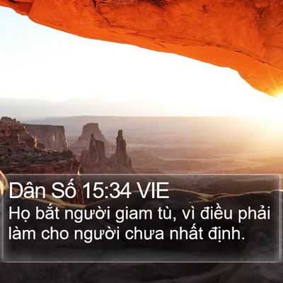 Dân Số 15:34 VIE Bible Verse Image