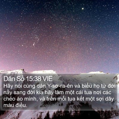 Dân Số 15:38 VIE Bible Verse Image