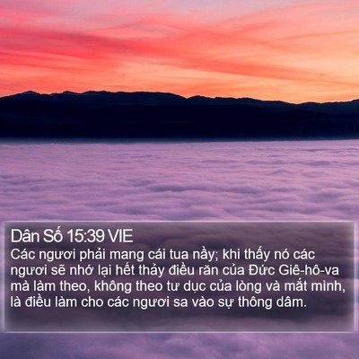 Dân Số 15:39 VIE Bible Verse Image