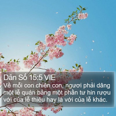 Dân Số 15:5 VIE Bible Verse Image