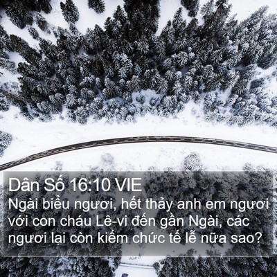 Dân Số 16:10 VIE Bible Verse Image