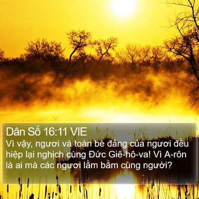 Dân Số 16:11 VIE Bible Verse Image