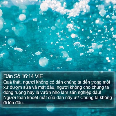 Dân Số 16:14 VIE Bible Verse Image
